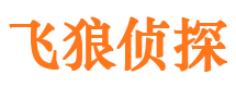 波密市私家侦探